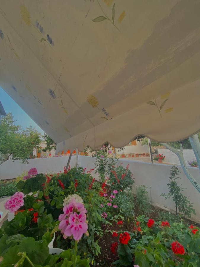 Apartments Vela คซามิล ภายนอก รูปภาพ